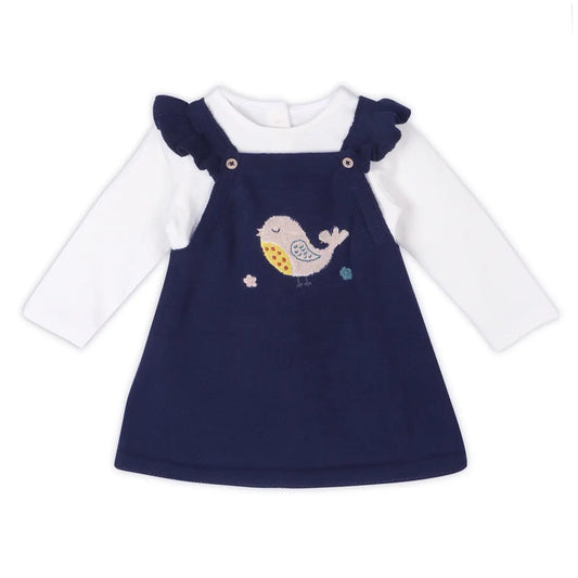 Songbird Dress & Bodysuit Set